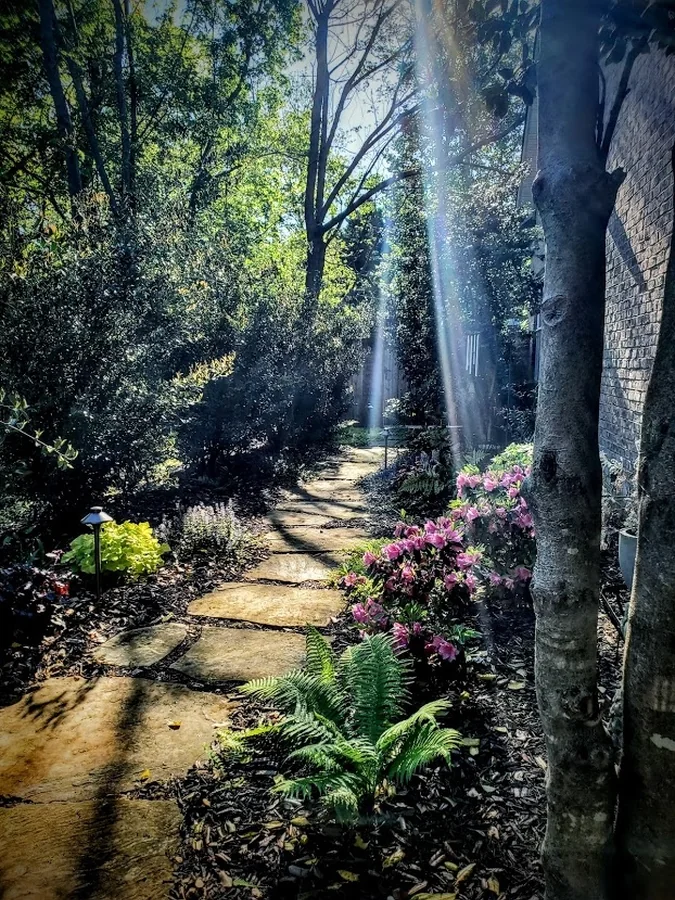 A flagstone walkway threaded through azaleas and ferns along the side of the house, finished with low-voltage landscape lighting for evening use. Part of a full backyard build in the Upstate.